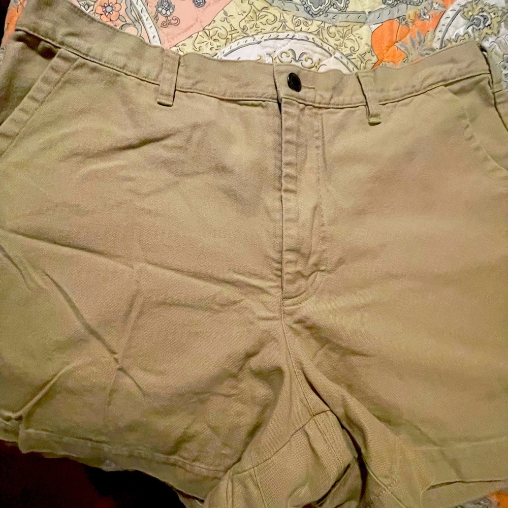 Patagonia organic Cotton mens shorts size 38